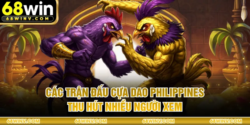 Các trận đấu cựa dao Philippines thu hút nhiều người xem