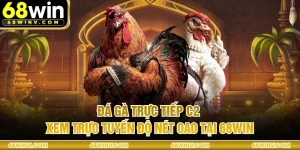 Đá Gà Trực Tiếp C2 - Xem Trực Tuyến Độ Nét Cao Tại 68WIN