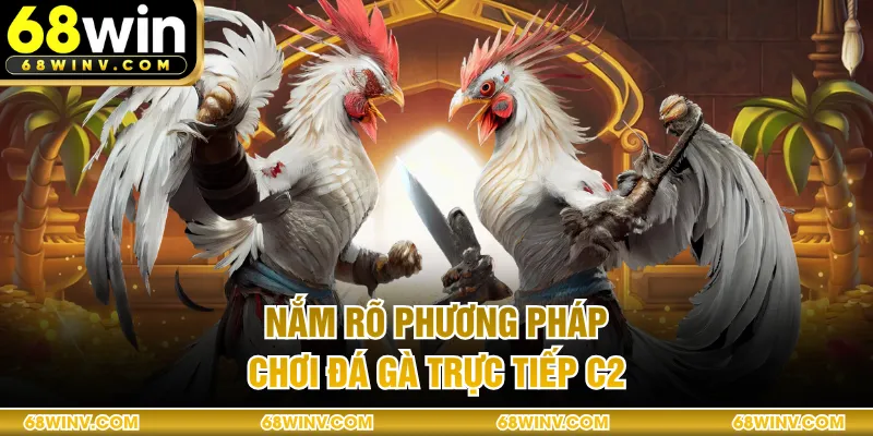 Nắm rõ phương pháp chơi đá gà trực tiếp C2