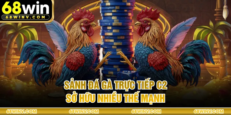 Sảnh đá gà trực tiếp C2 sở hữu nhiều thế mạnh